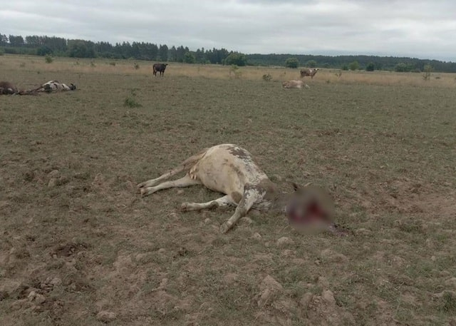 Агрокомплекс «Слобожанский» готовит иск к Российской Федерации