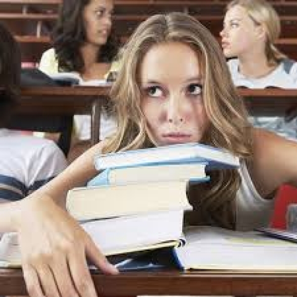 Абитуриенты хотят быть юристами и экономистами