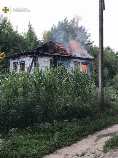 Во время пожара в частном доме пострадали два человека