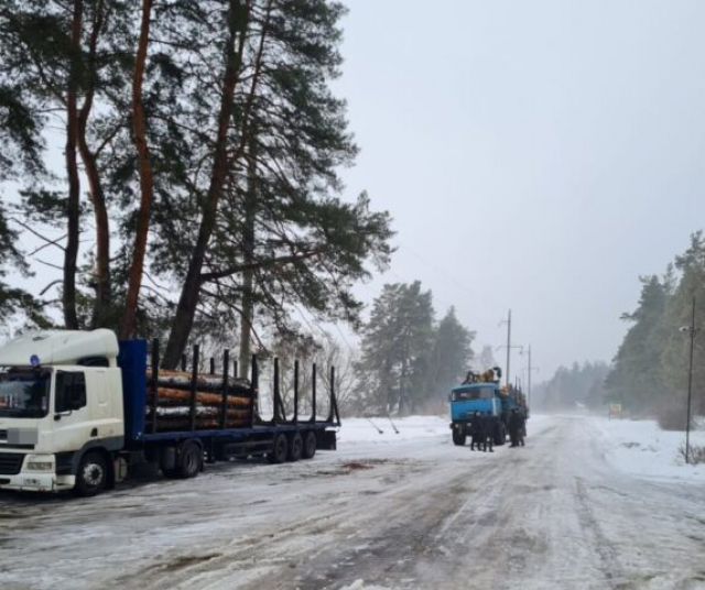 Сотрудники полиции обнаружили машины с незаконно спиленным лесом