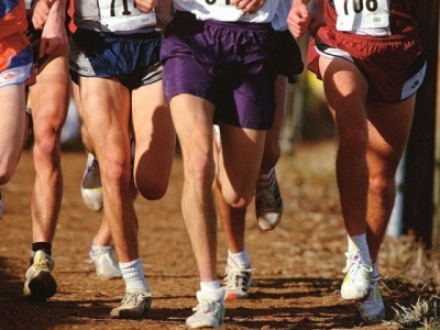 Спортсмены будут продвигать имиджевые проекты