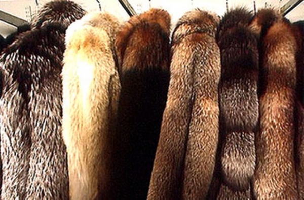Украденные шубы нашли по горячим следам