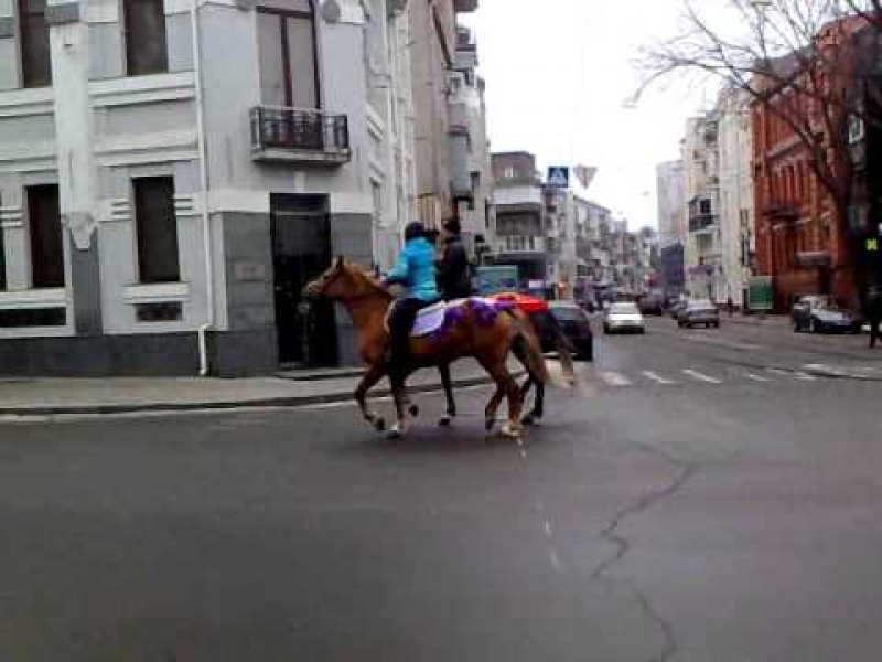 Харьковчане недовольны гужевым транспортом в черте города