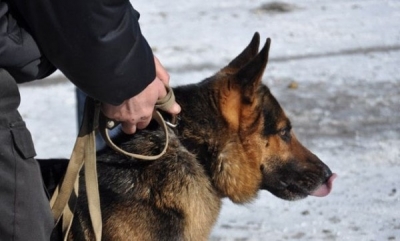 Харьков атакуют интеллигентные продавцы наркотиков