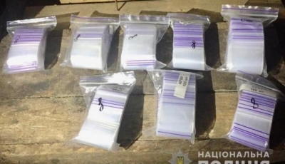 Разоблачена группа наркодилеров, действовавшая на территории Лозовой