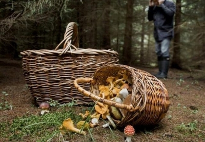 В лесу под Харьковом заблудился любитель «тихой охоты»