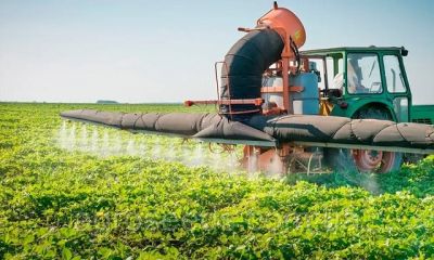 Что такое инсектициды и как выбрать правильные?