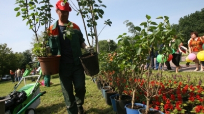 Харьков начали озеленять