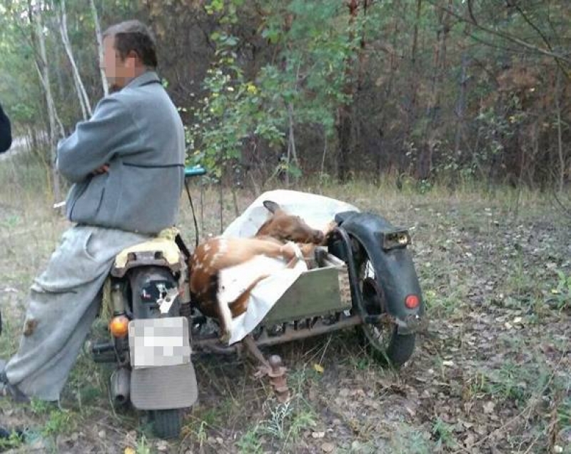 Под Харьковом орудуют браконьеры (фотофакт)