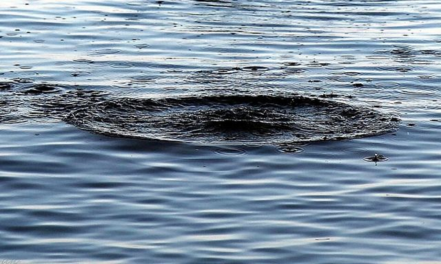 В Журавлевском гидропарке утонула 12-летняя девочка.