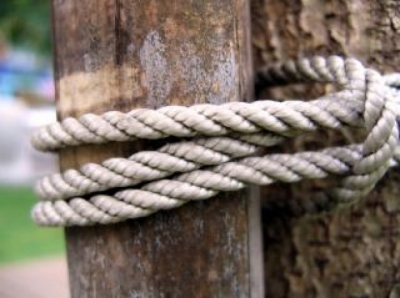 Злоумышленник избивал товарища, привязав к дереву