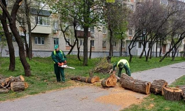 Непогода в воскресенье на несколько часов оставила Харьков без света