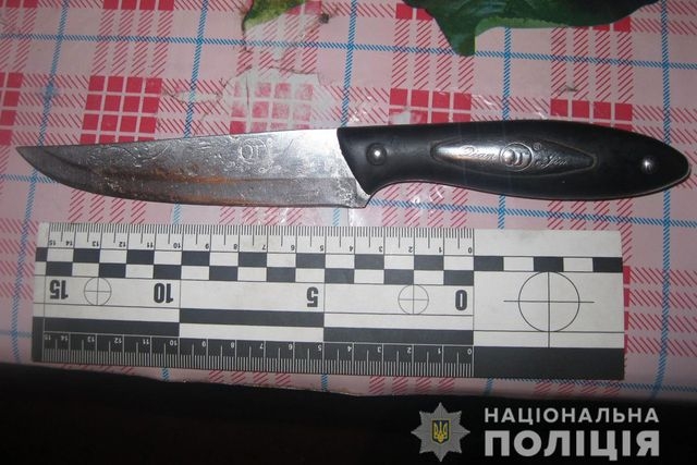 Пьяная свекровь ударила ножом невестку