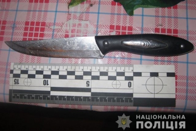 Пьяная свекровь ударила ножом невестку