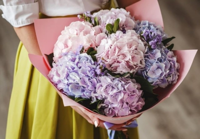 Букет из гортензий: кому и когда дарить, как ухаживать