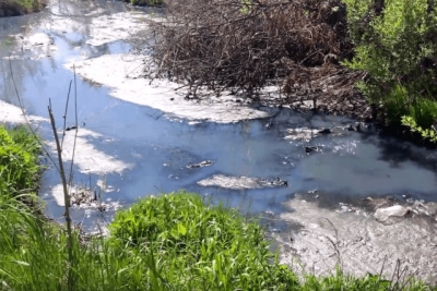 Под Харьковом – экологическая катастрофа