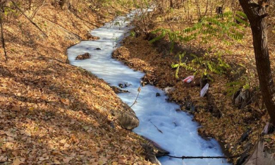 Правоохранители выясняют причины загрязнения ручья за гостиницей «Дружба» в Харькове