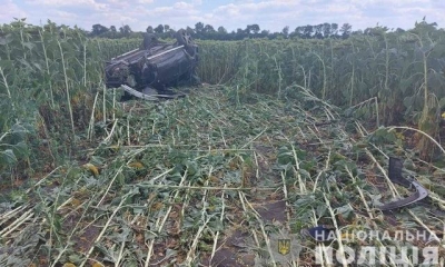 Смерть в подсолнухах – во время ДТП погиб 26-летний парень