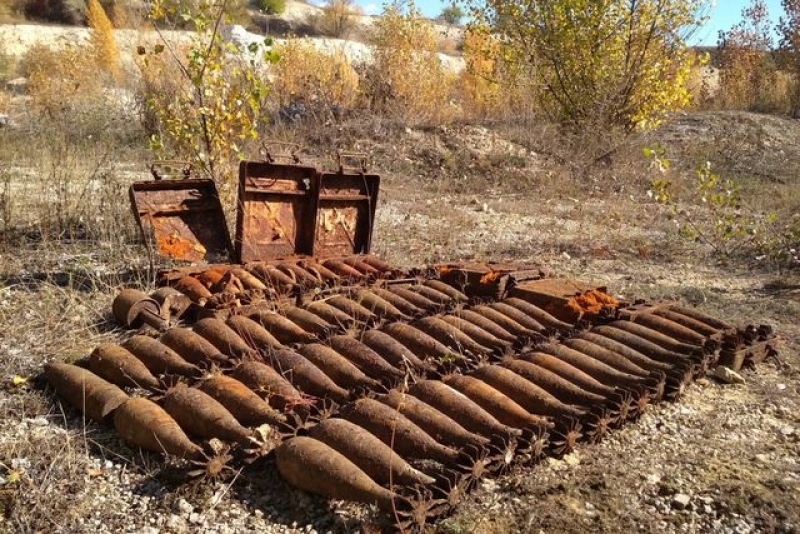 На Харьковщине грибники наткнулись на целый арсенал боеприпасов (фото)