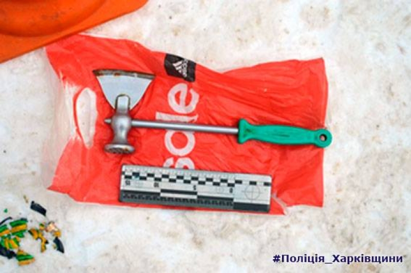 Неадекватная женщина с топором напала в продуктовом киоске на тинэйджера (фото)