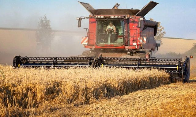 Аграрии Харьковщины собрали больше зерновых, чем в прошлом году