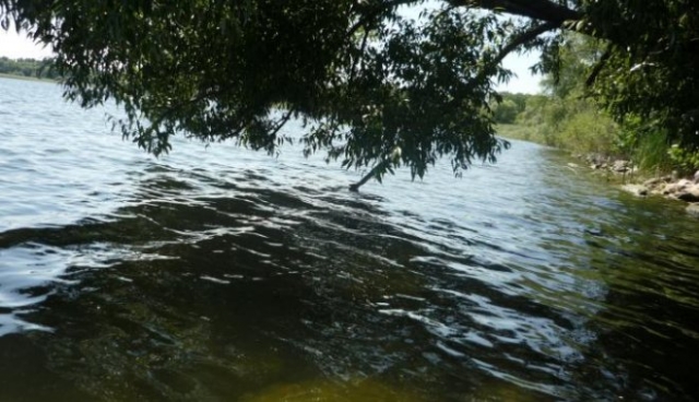 В одном из водоемов области нашли антиген гепатита А