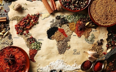 Польза приправ и их использование в кулинарии