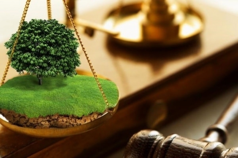 Земельные споры: понятие, классификация, подведомственность