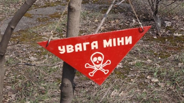 Пластиковые мины и тысячи не обработанных заявок - проблемы разминирования области