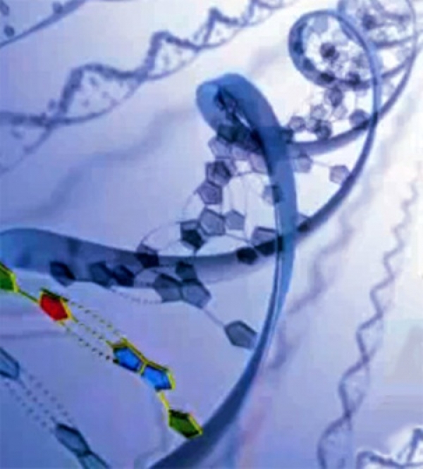 В Харькове обсуждают редкие заболевания