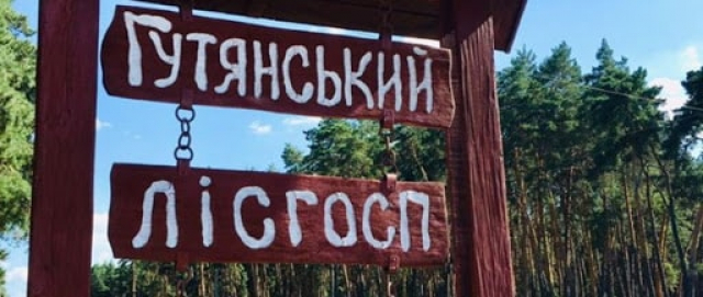 Задержан директор лесхоза - подозревается в торговле лесоматериалами по заниженным ценам