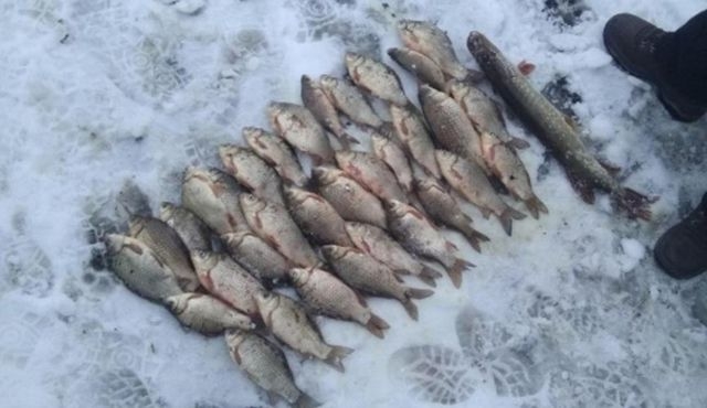 Подведены итоги январских рейдов рыбоохранного патруля