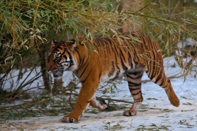 Харьковчан зовут в зоопарк