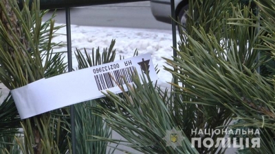 Харьковчане могут проверить, легальная елка или нет, через программу на телефоне