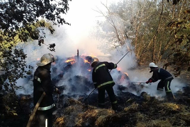 Урожай и лес горели в Харьковском районе