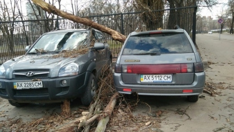 Последствия непогоды в Харькове (видео)