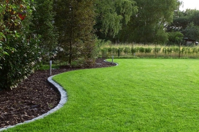 Рулонный газон: его особенности