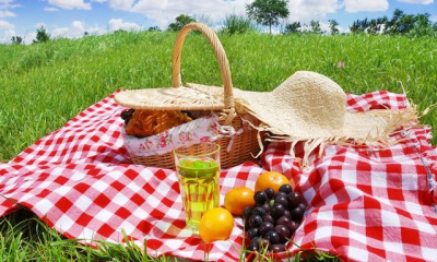 Уехали в село на пикник – полиция разыскала трех подростков