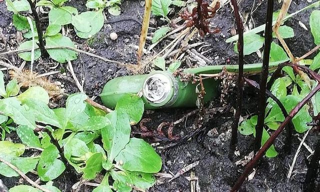 В селе Терновая местный житель подорвался на противопехотной мине