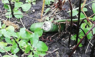 В селе Терновая местный житель подорвался на противопехотной мине