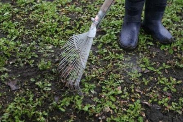 В Харькове началась весенняя уборка