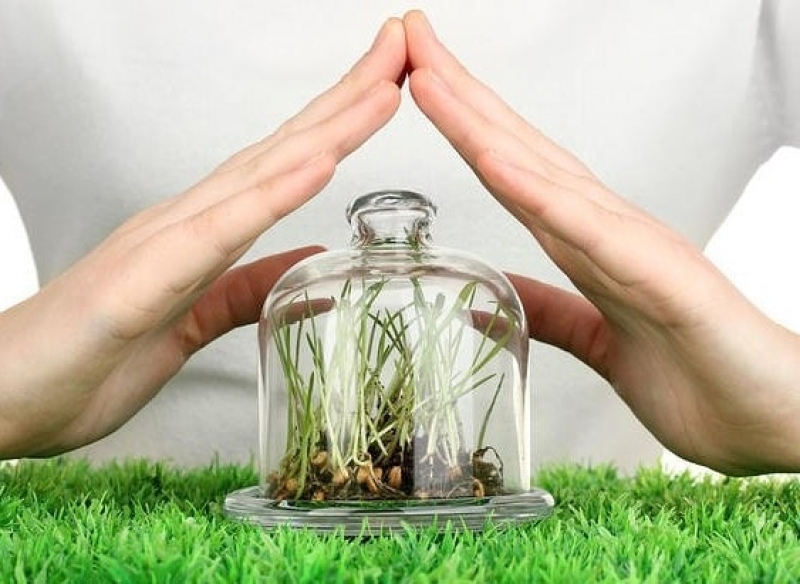 Фунгициды - именно они убивают многие заболевания у растений