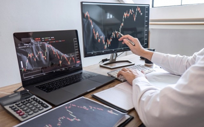 Эффективное введение в мир трейдинга: обучающие курсы для новичков