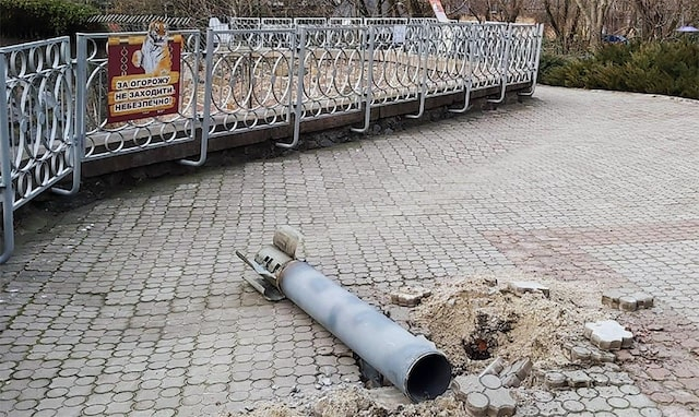 Спасая животных «Фельдман – Экопарка», погиб 15-летний подросток