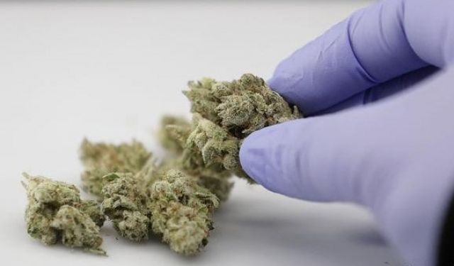 Прекращена деятельность интернет-магазина по продаже наркотиков