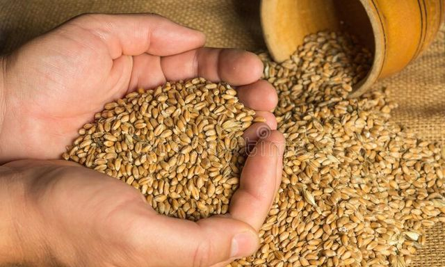 Фермеры могут вывозить продукцию с деоккупированных территорий без пропусков