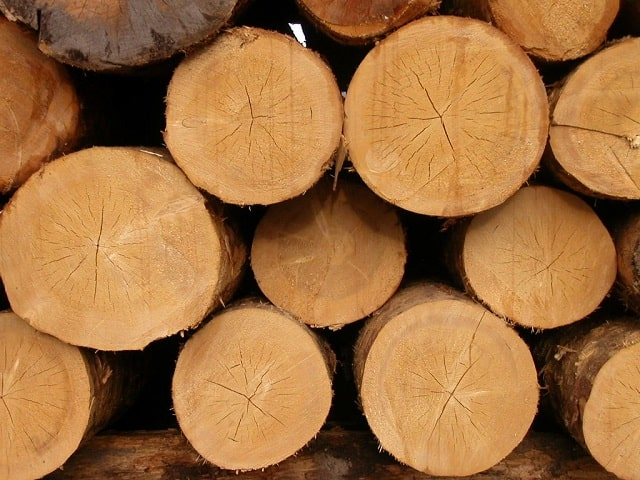 Як проводять закупівлі деревини з державних лісових господарств України