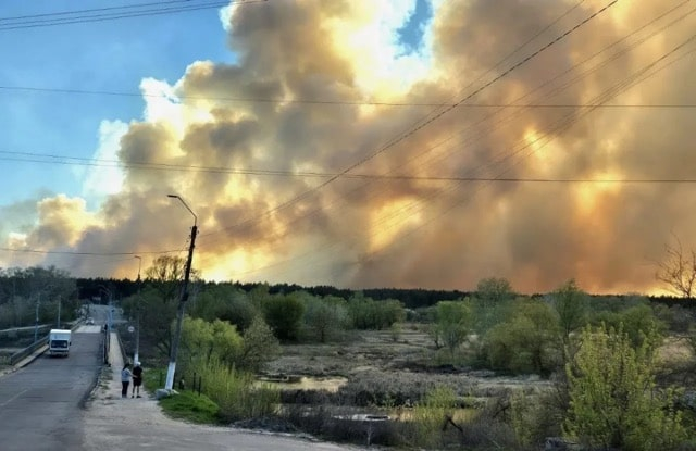 Масштабный пожар в Балаклейском лесничестве – причины пока неизвестны