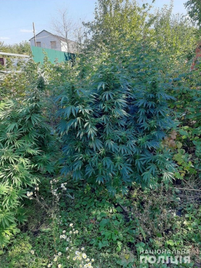 Наркотических веществ на 220 тысяч изъяли полицейские у жителя Харькова