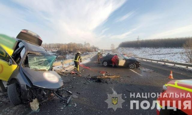 Опеку над близнецами, потерявшими в ДТП родителей, возьмет их родная тетя